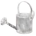 Floristik24 Metall-Pflanzkanne Ø17cm, Gießkanne, Verzinkt, Grau-Weiß, für Deko und Bepflanzung