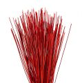 Floristik24 Vlei Reed 400g Rot