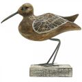 Floristik24 Vogel-Skulptur aus Holz, Baddeko, Wasservogel H22cm
