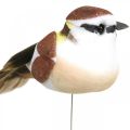 Floristik24 Frühlingsdeko, Vögeln am Draht, künstlicher Vogel Braun, Weiß H3cm 12St