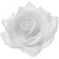 Floristik24 Wachsrose Weiß Ø10cm Gewachste Kunstblume 6St