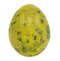 Floristik24 Wachtelei 3cm Gelb Ausgeblasene Eier 50St