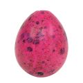 Floristik24 Wachteleier Pink 3,5-4cm Ausgeblasene Eier Osterdekoration 50St