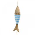 Floristik24 Maritime Deko Hänger Holzfische zum Hängen hellblau L123cm