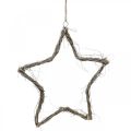 Floristik24 Weihnachtsdeko Stern Weiß gewaschen Sterne zum Aufhängen Ulme 30cm 4St