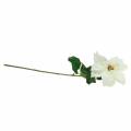Weihnachtsstern Kunstblume Weiß 67cm | Floristik24.at