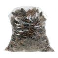 Floristik24 Weymouthzapfen natur 2,5kg