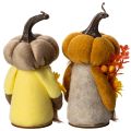 Herbstdeko Kürbiswichtel aus