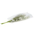 Floristik24 Gartenblumen Weiß L50cm 3St