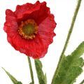 Floristik24 Kunstblume Mohn Rot mit 4 Blüten Klatschmohn H60cm