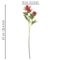 Künstlicher Distelzweig aus Kunststoff rot 67cm 3 Blüten für Wohnraumdekoration | Floristik24.at