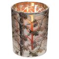 Windlicht Glas 12cm Winterwald