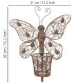 Windlicht Wanddeko Metall Schmetterling Rostoptik 36,5cm | Floristik24.at
