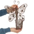 Windlicht Wanddeko Metall Schmetterling Rostoptik 36,5cm | Floristik24.at