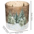 Windlicht aus Glas mit Tannenwald-Motiv 15cm für den Innenbereich | Floristik24.at