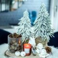 Floristik24 Winter-Tanne im Topf, Weihnachtsdeko, Tannenbaum mit Schnee H45cm