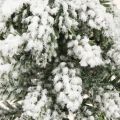 Winterdeko Tannenbaum in Grün Weiß Ø7cm H14cm 4St | Floristik24.at