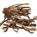 Floristik24 Deko Holzäste naturgetrocknet 18 cm 500 g für floristische Gestaltung