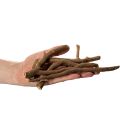 Deko Holzäste naturgetrocknet 18 cm 500 g für floristische Gestaltung | Floristik24.at