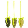Dekozapfen aus Kunststoff mit Schleife, 18 cm, 3er Set, Grün | Floristik24.at