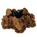Floristik24 Tannenzapfen-Pflanztopf Sternform 30cm naturbraun