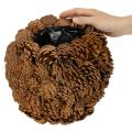 Deko-Übertopf aus Tannenzapfen rund Naturbraun 27 cm | Floristik24.at