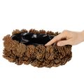 Pflanzschale aus Tannenzapfen oval 30 cm naturbraun | Floristik24.at