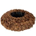 Floristik24 Runde Zapfenschale aus Tannenzapfen, Naturbraun, 38 cm Durchmesser, 14 cm Höhe