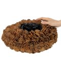 Runde Zapfenschale aus Tannenzapfen, Naturbraun, 38 cm Durchmesser, 14 cm Höhe | Floristik24.at