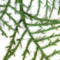 Künstlicher Bambusbaum 132 cm