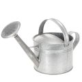 Floristik24 Zink-Gießkanne 5L, 27cm, Metall, Vintage, für Garten und Terrasse