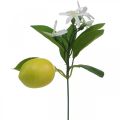 Floristik24 Dekozweig Kunstzweig Zitrone und Blüten 26cm Kunststoff 4 Stück