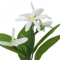 Dekozweig Kunstzweig Zitrone und Blüten 26cm Kunststoff 4 Stück | Floristik24.at
