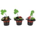 Glücksfiguren Kleeblatt und Käfer im Zylinder Kunststoff 7 cm 3er-Set | Floristik24.at