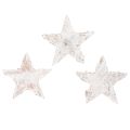 Floristik24 Mini Birkensterne 2cm–2,5cm weißgewaschen 150 Stück
