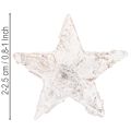 Mini Birkensterne 2cm–2,5cm weißgewaschen 150 Stück | Floristik24.at