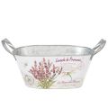 Blumenschale oval Metall mit