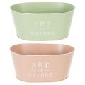 Blumenschale oval Zink 27×18×12,5cm Pastellfarben für Innen und Außen | Floristik24.at