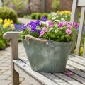 Blumentopf Metall und Jute mit Griffen 24,5×17×15,5cm Grün-Grau | Floristik24.at
