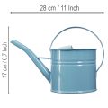 Gießkanne Blumentopf Metall Blau 28x13x17cm 1,25l für Innen- und Außendekoration | Floristik24.at