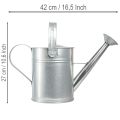 Deko-Gießkanne Metall Silber 42x15,5x27 cm für Innen- und Balkondekoration | Floristik24.at