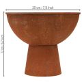 Deko Pokalschale aus Metall mit Rost-Optik Ø20,5cm mit Standfuß, 2er Set | Floristik24.at