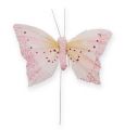 Floristik24 Deko-Schmetterling am Draht Pastell 8cm 12St
