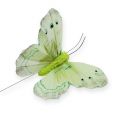 Floristik24 Deko-Schmetterling am Draht Grün 8cm 12St