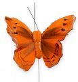 Floristik24 Deko-Schmetterling am Draht Orange 8cm 12St