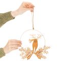 Dekoringe Metall Ø18cm, Edelrost, Rentier & Weihnachtsmann, 2er-Set, innen & außen | Floristik24.at