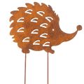 Floristik24 Gartenstecker Metall Igel 20cm Rostoptik für Außenbereich