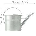 Metall-Gießkanne Vintage Silber 1,25 l als Pflanzgefäß | Floristik24.at