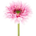 Floristik24 Künstliche Gerbera Blume aus Kunststoff Rosa 47 cm für Wohn- und Tischdekoration 6St