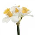 Floristik24 Künstliche Narzissen Seidenblumen Weiß Osterglocke 40cm 3St